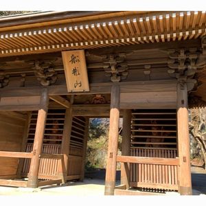 豊橋のもみじ寺普門寺 2枚目