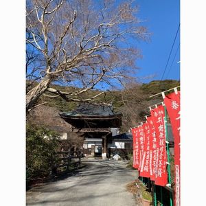豊橋のもみじ寺普門寺 5枚目