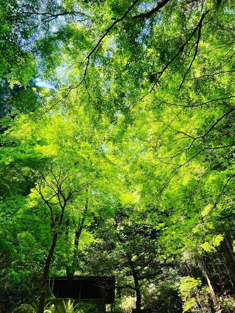 frannyさんが投稿した名草の巨石群に関する口コミの画像