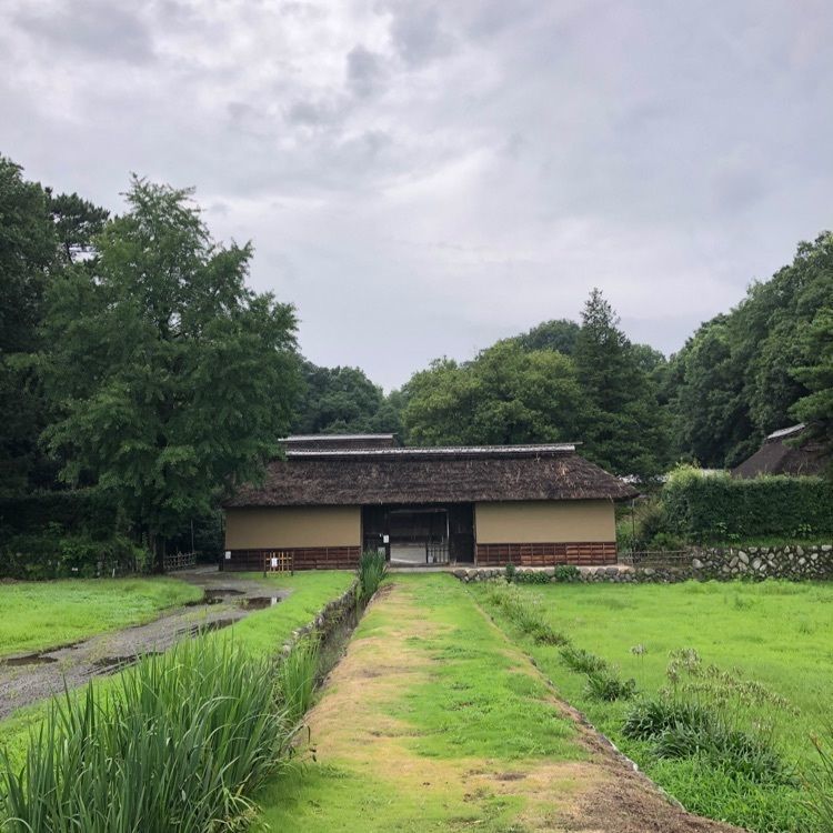からっ風②の画像