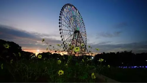 葛西臨海公園 バーベキュー広場