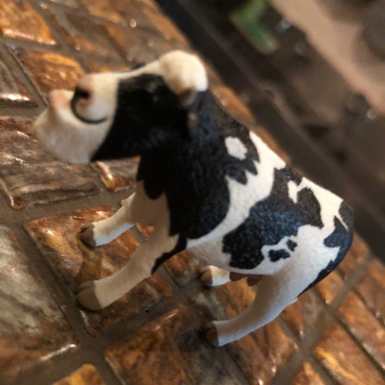 ぶんさんが投稿したがぶのみバル728（ガブノミバルナツヤ）に関する口コミの画像