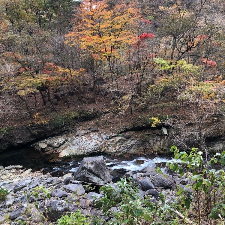 からっ風②さんが投稿した銀山平公園に関する口コミの画像