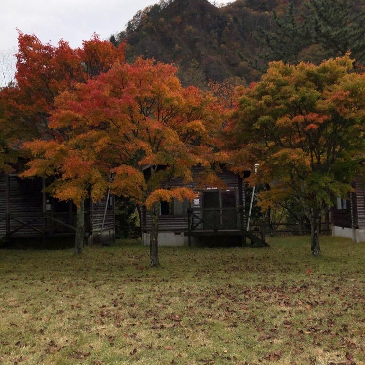 からっ風②さんが投稿した銀山平公園に関する口コミの画像