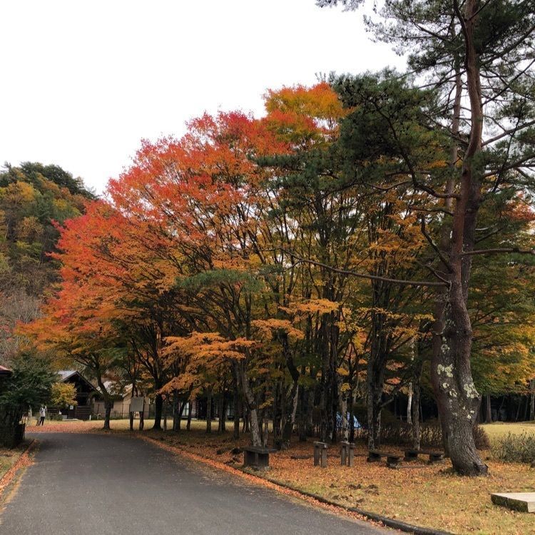 からっ風②さんが投稿した銀山平公園に関する口コミの画像