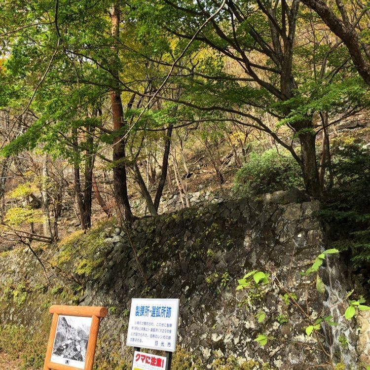 からっ風②さんが投稿した銀山平公園に関する口コミの画像