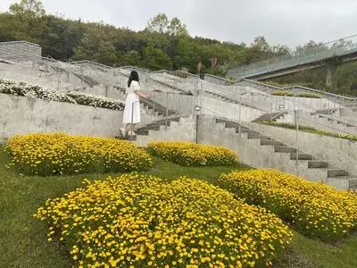 百段苑