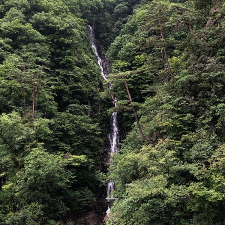 からっ風②さんが投稿したやんば館（八ッ場ダム広報センター）に関する口コミの画像