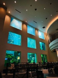 PIER-01（ピアゼロワン） 5枚目