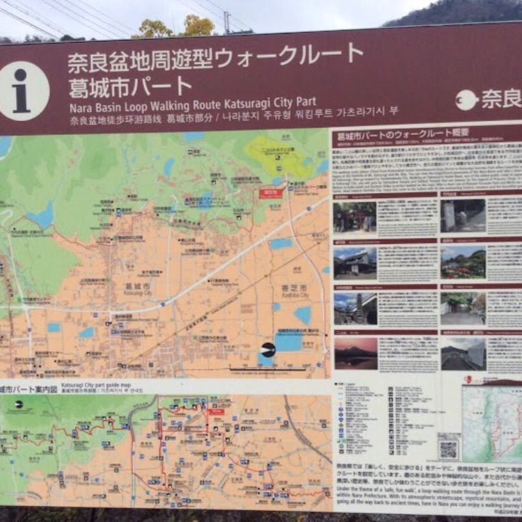 ＤＪゴン太さんが投稿した道の駅 ふたかみパーク當麻に関する口コミの画像