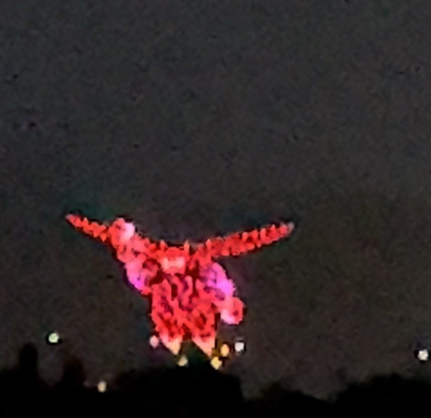 hirokororinさんが投稿した安倍川花火大会に関する口コミの画像