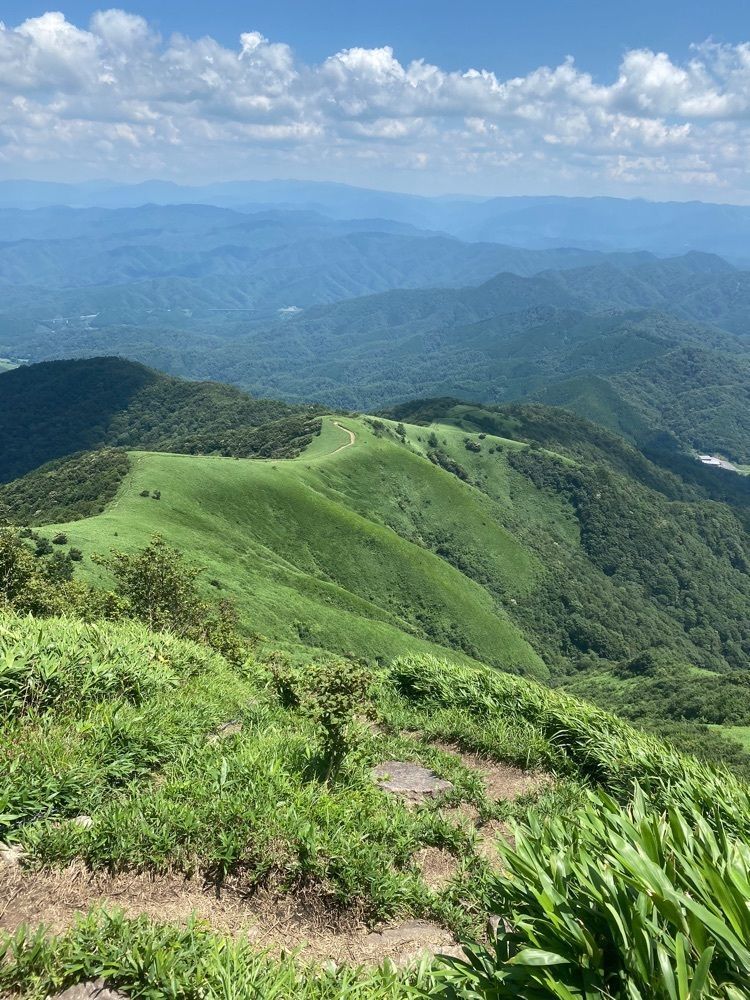 あるふぃすたさんが投稿した上蒜山に関する口コミの画像