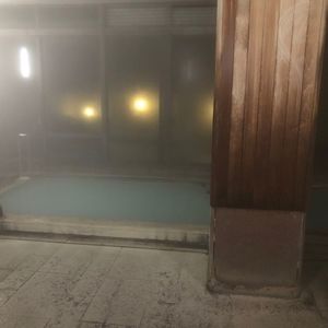 那須湯本温泉　鹿の湯源泉かけ流しの宿　旅館　清水屋＜栃木県・那須郡＞