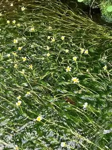 長慶寺