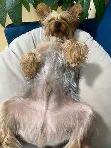 蔵の家