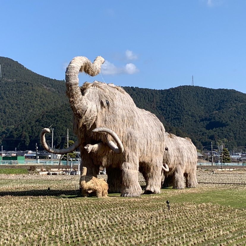 メリーさんが投稿した伊予石城駅に関する口コミの画像