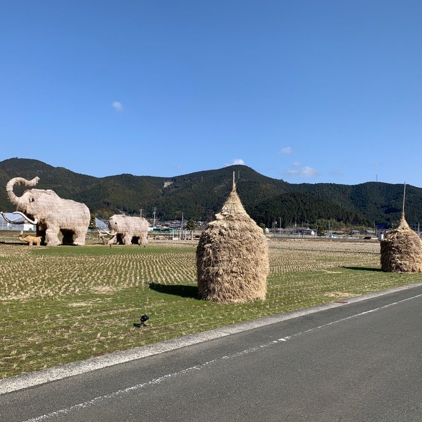 メリーさんが投稿した伊予石城駅に関する口コミの画像