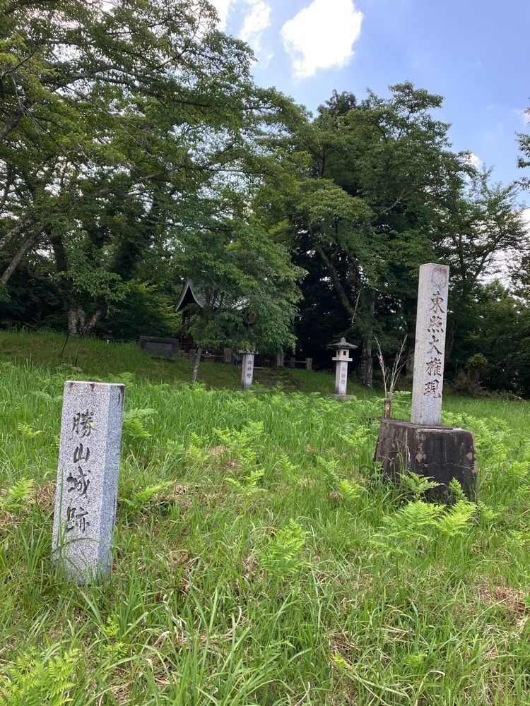 Nさんが投稿した勝山城址に関する口コミの画像