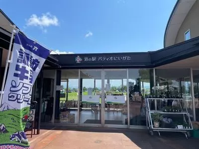 道の駅 パティオにいがた