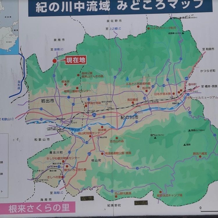 ＤＪゴン太さんが投稿した道の駅 根来さくらの里に関する口コミの画像