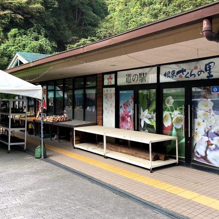 ＤＪゴン太さんが投稿した道の駅 根来さくらの里に関する口コミの画像