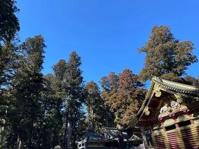 東照宮陽明門