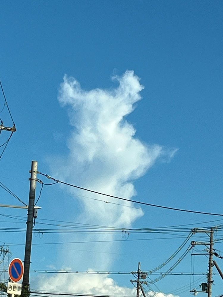 chou chou tabiさんが投稿した樟葉駅に関する口コミの画像