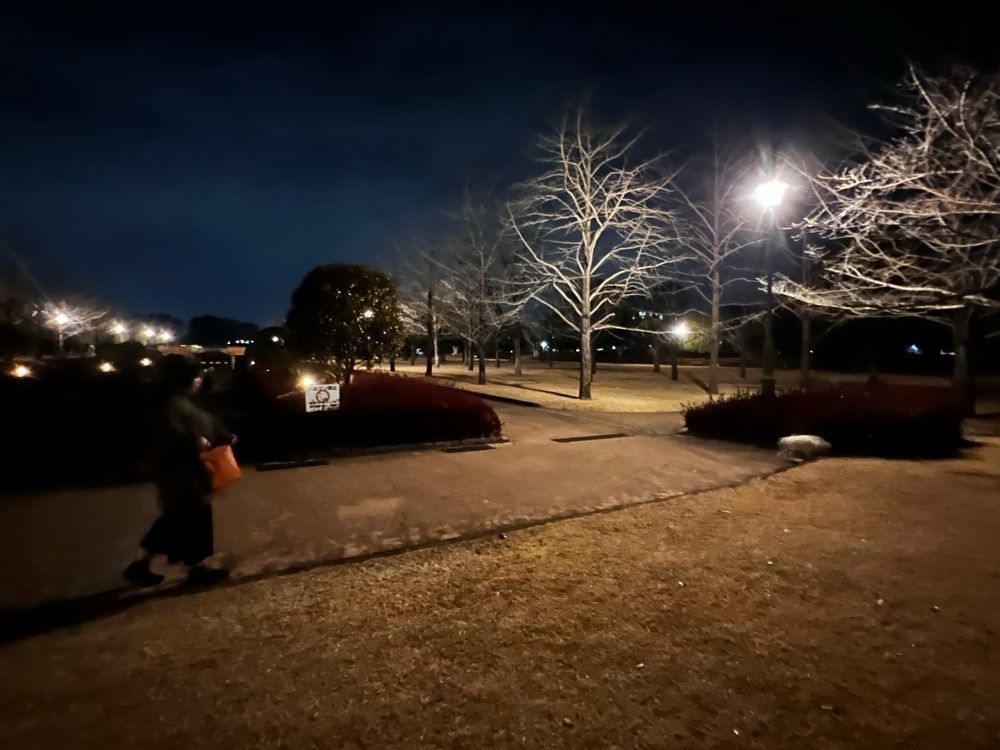 yokowakebaseさんが投稿したテクノ中央緑地公園に関する口コミの画像