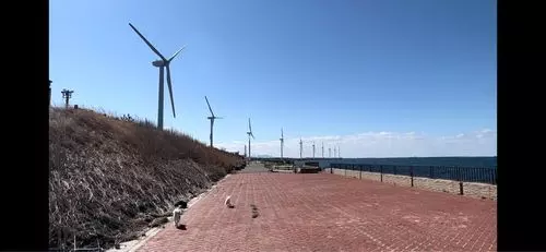 北九州市響灘ビオトープ