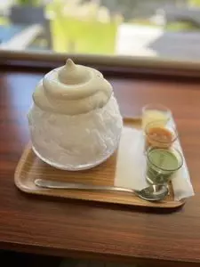 アリエール グー