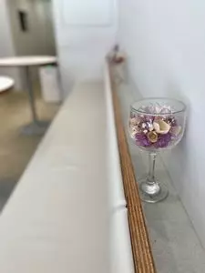 あじさいにかたつむり