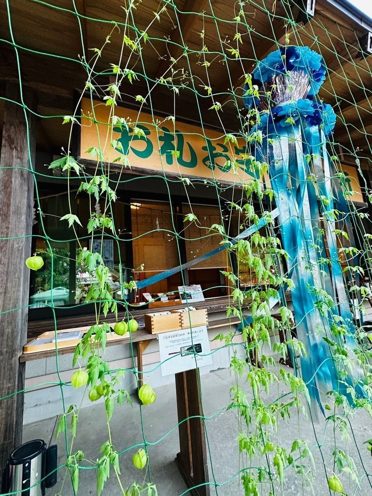 かめ_メグミさんが投稿した二柱神社に関する口コミの画像