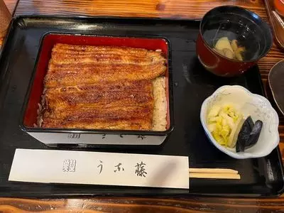 うな藤（うなふじ）