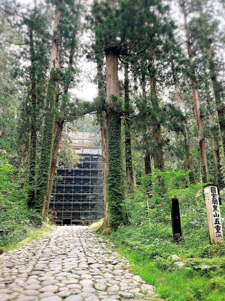 猫なぎ。さんが投稿した羽黒山爺杉に関する口コミの画像