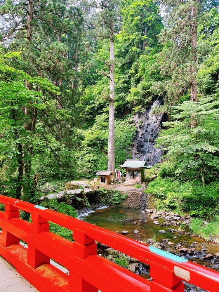 猫なぎ。さんが投稿した羽黒山爺杉に関する口コミの画像