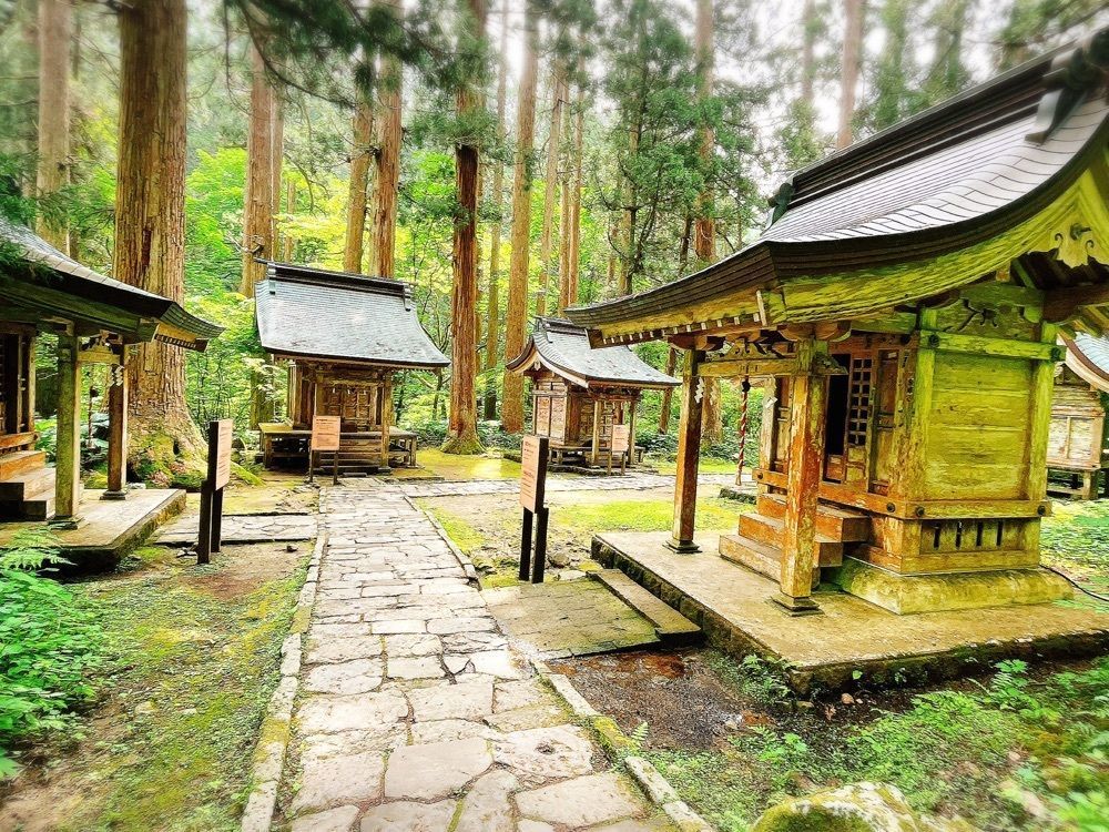 猫なぎ。さんが投稿した羽黒山爺杉に関する口コミの画像