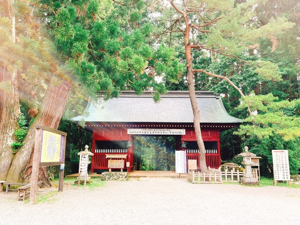 猫なぎ。さんが投稿した羽黒山爺杉に関する口コミの画像