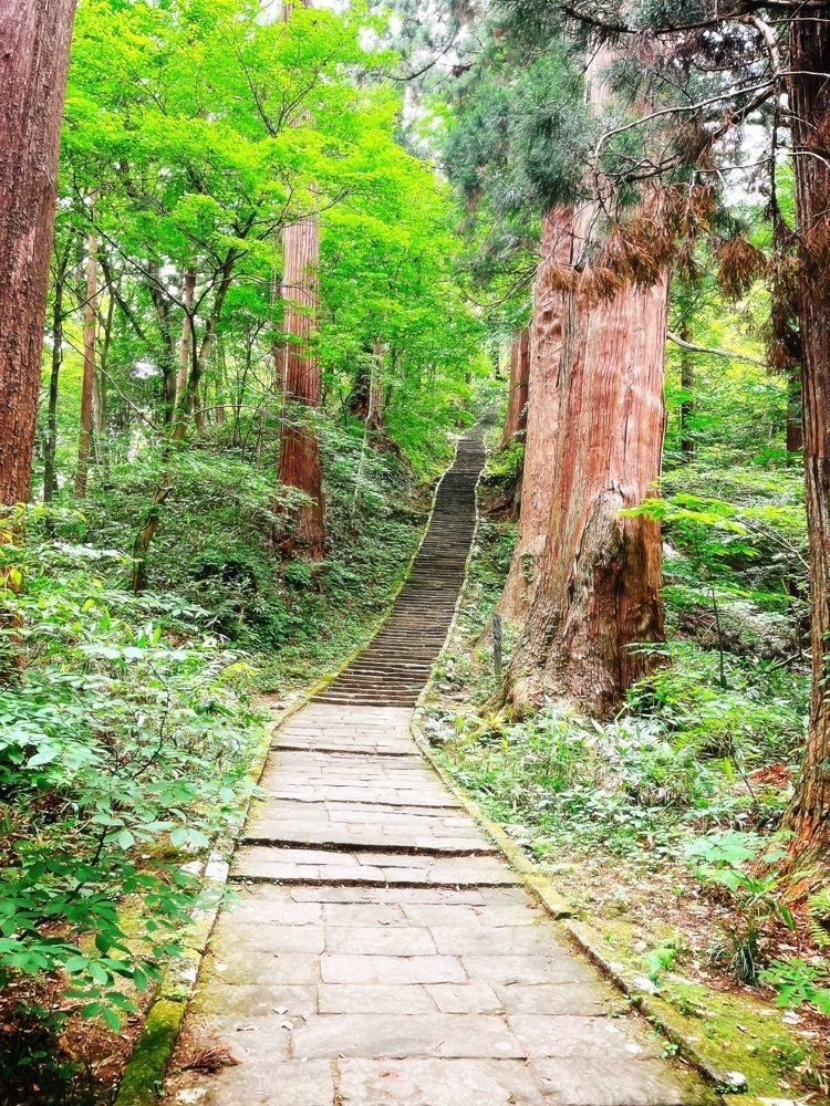 猫なぎ。さんが投稿した羽黒山の杉並木に関する口コミの画像