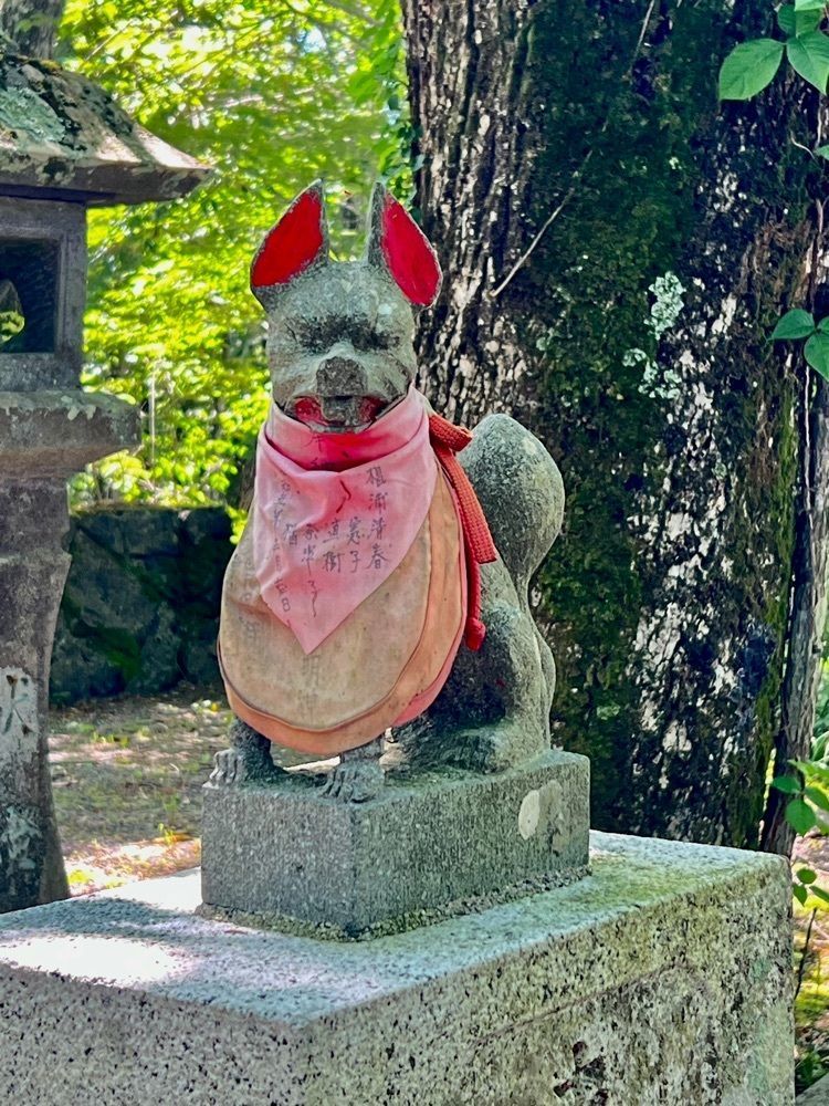 ビンカさんが投稿したファミリーロッジ旅籠屋・山中湖店に関する口コミの画像