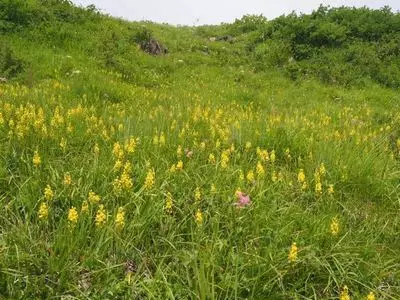 八方池