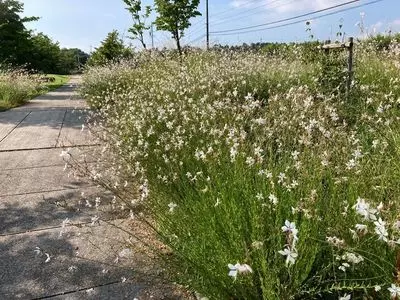 安曇野ちひろ公園