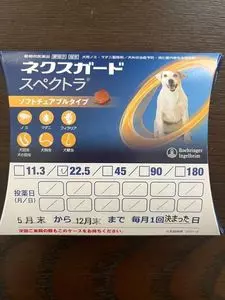 スターバックスコーヒー くずは美咲店（STARBUCKS COFFEE）