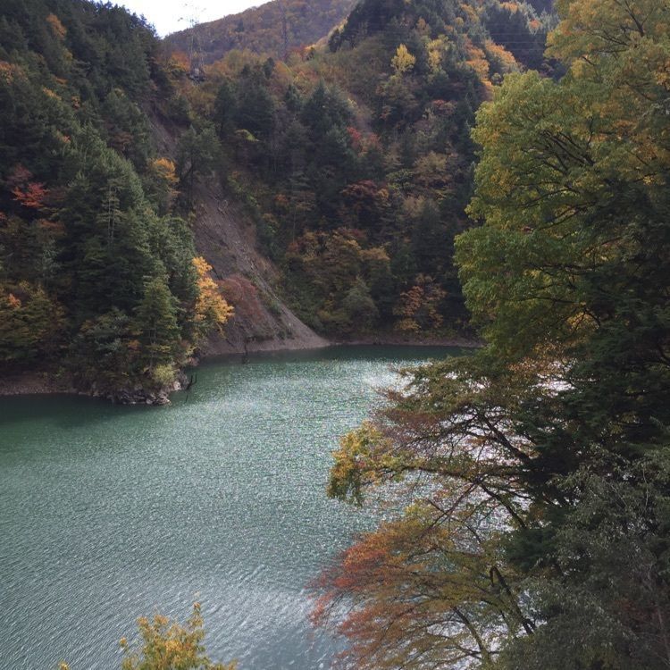 からっ風②さんが投稿した平湯温泉スキー場に関する口コミの画像