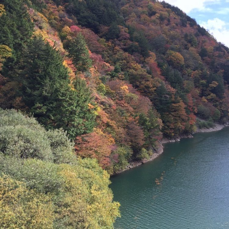 からっ風②さんが投稿した平湯温泉スキー場に関する口コミの画像
