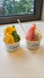 リビスコ 銀座店（L'ibisco）
