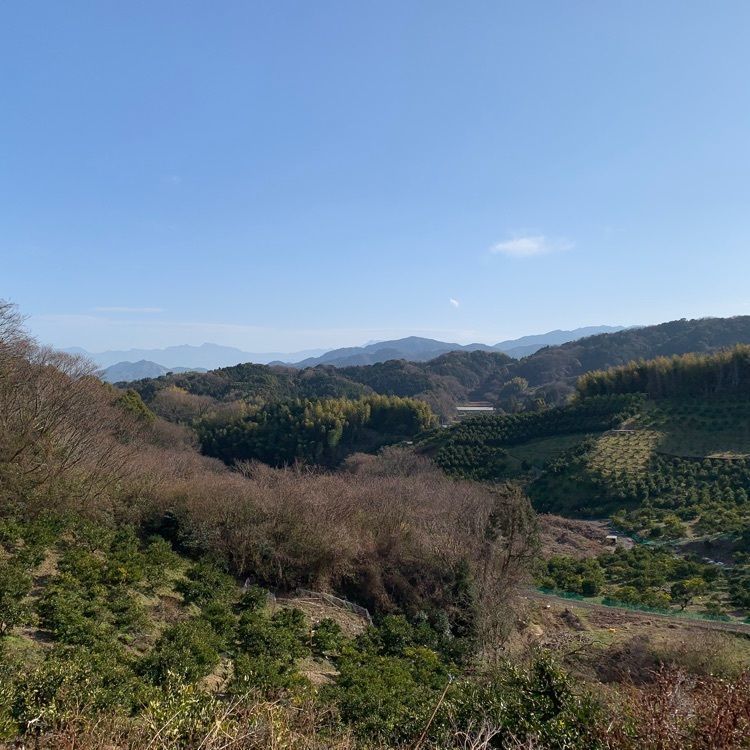 96_take4さんが投稿した野間馬ハイランドに関する口コミの画像