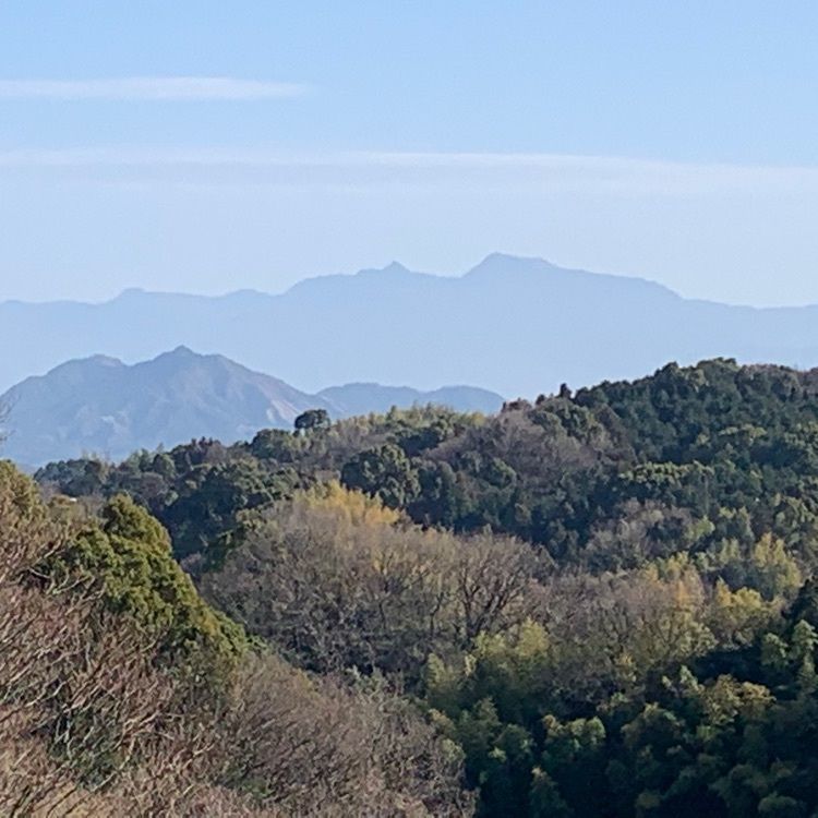 96_take4さんが投稿した野間馬ハイランドに関する口コミの画像