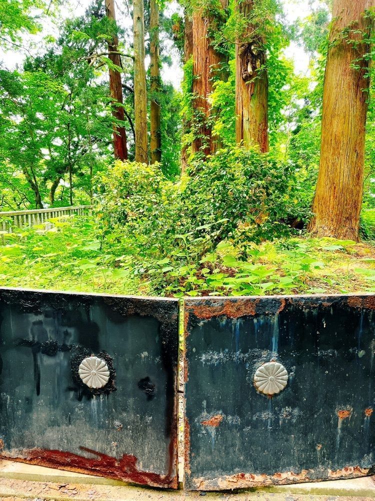 猫なぎ。さんが投稿した蜂子神社に関する口コミの画像