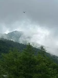高峰高原ホテル