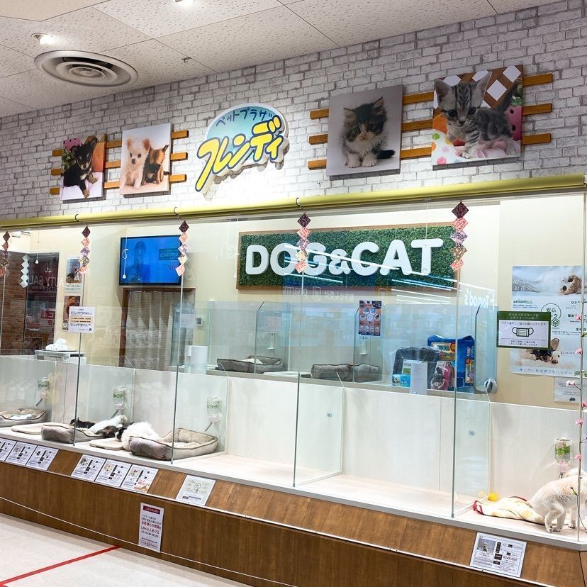 🤎アイヒンまま🤎さんが投稿したヤオコー 新浦安店に関する口コミの画像